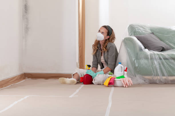 Reliable Mold Remediation contractor in Holland, MI by WQB Mold Removal